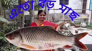 কাতলা মাছের রেসিপি  katla macher recipe  katla macher jhol bengali  katla Kalia bengali styel [upl. by Esnofla]