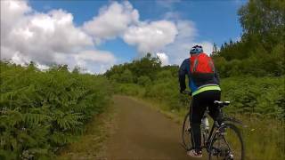 Kielder Forest by Bike  26 Miles around Kielder Reservoir HD [upl. by Sedberry537]