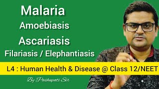 L4 Protozoan and Helminth Diseases  Malaria  Amoebiasis  Ascariasis  Filariasis  Class 12NEET [upl. by Aillicsirp629]