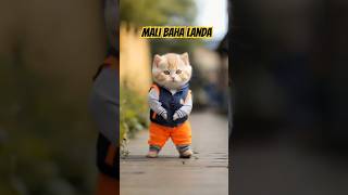 Mali Baha Landa 🌸🌼catshortsyoutubeshortstrending [upl. by Lawan]