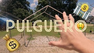 💸 EL GRAN PULGUERO DE LAS PIEDRAS 💸 PUERTO RICO [upl. by Shargel]