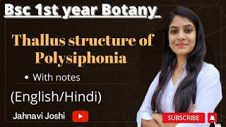 Polysiphonia Thallus Structure Notes Bsc 1st year Botany [upl. by Nevaeh]