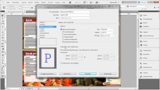 Die Druckausgabe  Adobe InDesign CS5 [upl. by Trawets]