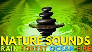 Relaxing Music with Nature Sounds Rain Forest Ocean Fireplace [upl. by Eyr45]