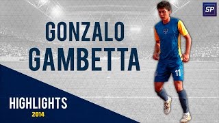 Gonzalo Gambetta  Highlights 2014  HD [upl. by Idissac]