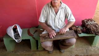 How Cuban cigars are made [upl. by Carine]