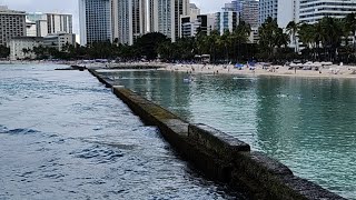 Going To Hawaii was LIVE Hawaii Live Stream  Waikiki Beach hawaii goingtohawaii visithawaii [upl. by Nomrah964]