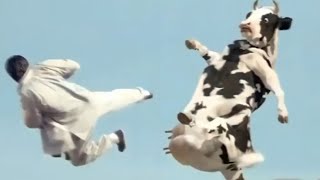 Ya lili Ya lila  Elili elila  Yalili Remix  Arabic Remix  lai lai lai kungfu Cow funny fight 😂😂 [upl. by Nifares269]