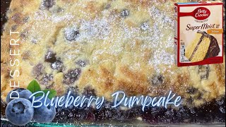 Blueberry Dump Cake with Frozen Blueberries  the perfect dessert dumpcake [upl. by Voccola479]