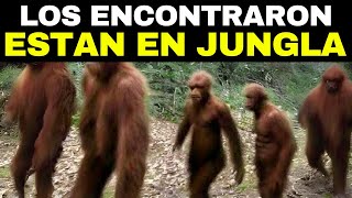 Una Especie Humana Recién Descubierta Plantea Grandes Dudas Sobre el Origen de los Humanos [upl. by Aliemaj]