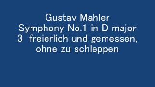 Mahler Symphony No1 3rd movwmv [upl. by Bibby646]