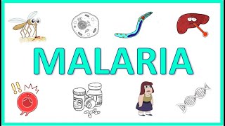 Malaria  Causes Pathogenesis Signs and Symptoms Diagnosis Treatment and Prevention [upl. by Dloraj]