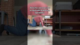 Stretches and exercises to help with Ankylosing Spondylitis health exercise stretch cat back [upl. by Elok]