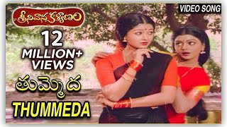 Tummeda Video Song  Super Hit Movie Srinivasa Kalyanam  Venkatesh  Bhanupriya  Gowthami [upl. by Llerrut]