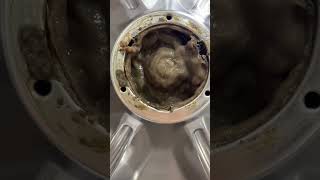 CLEAN YOUR WASHER OMG 😭😭😭  equestrain trending cleaning psa shorts important goviral [upl. by Stouffer940]