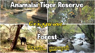 ANAMALAI TIGER RESERVE  TOP SLIP  SETHUMADAI GUEST HOUSE  PARAMBIKULAM TIGER RESERVE  POLLACHI [upl. by Eikkin913]