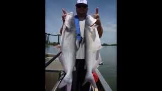 Electrofishing For Kansas Blue Catfish [upl. by Neemsay451]