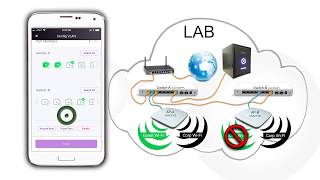 How to Expand a Network Location  NETGEAR Insight [upl. by Hailahk]