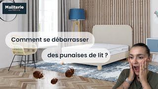 Comment se débarrasser des punaises de lit [upl. by Allez]