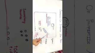 Synthesis of polypeptide and protein hormones Endocrinology with Diagram and flowcharts [upl. by Akenahc]