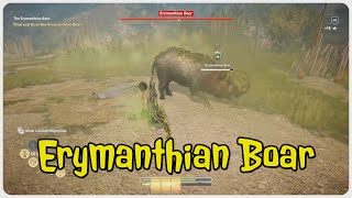 Assassins Creed Odyssey  Erymanthian Boar location and fight [upl. by Joses385]