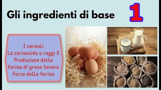 Gli ingredienti di base  Lezione 1 [upl. by Carpenter132]