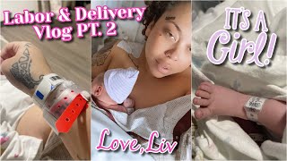 Giving Birth ALONE I Almost Didnt make it  Labor amp Delivery Vlog PT 2 [upl. by Eimmis]