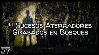 🎬 4 Grabaciones ATERRADORAS CAPTADAS en un BOSQUE  Top Videos de TERROR reales Captados en CAMARA [upl. by Swithin915]