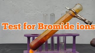 Test for Bromide ions [upl. by Yelsgnik]