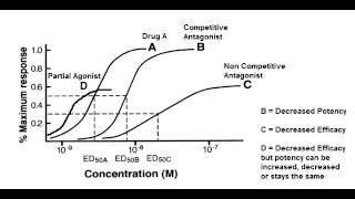 Receptor Binding Graph  Competitive amp Noncompetitive Antagonist Partial Agonist [upl. by Adnih716]