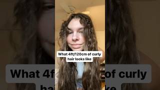 Unstyled curly hair folks curlyhair longhair frizzyhair hairtok curlygirl hairtexture frizz [upl. by Rennane164]