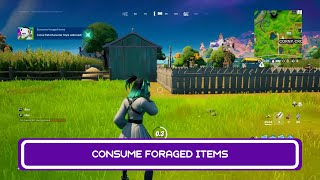 Consume Foraged Items  Unlock Toona Fish Styles  Fortnite Chapter 2 Season 8 [upl. by Robbins]