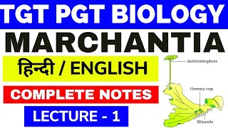 MarchantiaMarchantia ClassificationMarchantia BryophyteClassification of MarchantiaMarchantia1 [upl. by Oned]