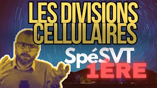 Les divisions cellulaires chez les eucaryotes  1ère Spécialité SVT svt lycée cellule [upl. by Herculie]