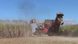 Sugar Cane Harvester in Australia [upl. by Winou876]