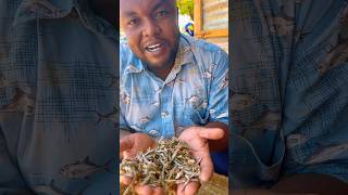 Vimalawari mombasa dried fish mombasafish fish catches food fishing seafood catche [upl. by Ediva]