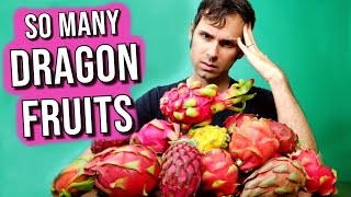 THE KING OF DRAGON FRUITS  I Ate 20 Different Dragonfruits to find the Best One [upl. by Addia]