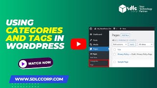 Using Categories and Tags in WordPress [upl. by Yerfoeg]