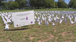 Connecticut drug addiction crisis highlighted on Overdose Awareness Day [upl. by Ahseret]