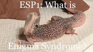 What is Enigma Syndrome [upl. by Sivatnod]