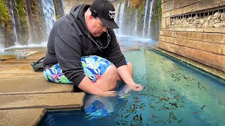 Catching Wild Aquarium Fish at a German Hot Spring [upl. by Elenahc156]