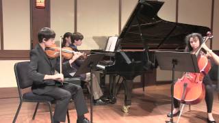 Reinecke Trio for Piano Violin Cello [upl. by Yi]