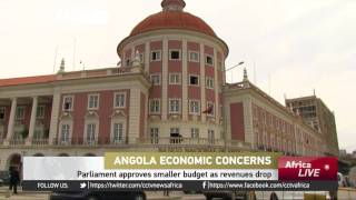 Angolas parliament approves smaller budget as revenues drop [upl. by Shugart]