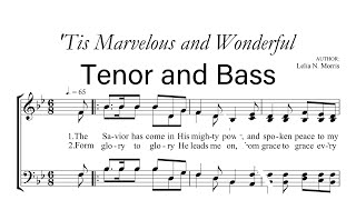 Tis Marvelous and Wonderful Tenor and Bass [upl. by Beilul648]