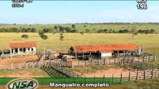 Fazenda em Três Lagoas MS 1573 HA you tubewmv [upl. by Adekram]