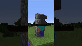 HELİCOPTER STEVE minecraft [upl. by Sirovat452]