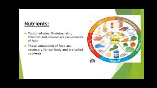 Nutrition in plants class 7th [upl. by Berkeley]