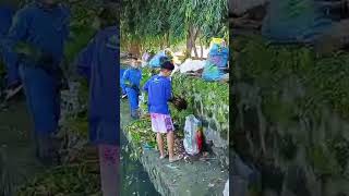 November 122024 ER Alabang clean Up Alabang Cupang Wawa River ways [upl. by Lirbij]