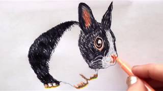 🐇 Hasen zeichnen  Frohe Ostern  How to draw a rabbit bunny  Happy easter  как нарисовать зайца [upl. by Biamonte]