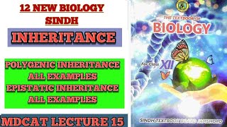 INHERITANCE MDCAT ONE SHOT PART 2  POLYGENIC INHERITANCE  EPISTASIS MADE EASY  EASIST CONCEPT [upl. by Vidovic]